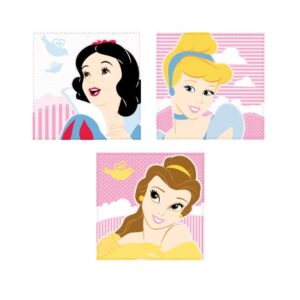 FACE CLOTH - DISNEY PRINCESS