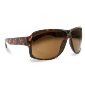 PROFILE SUNGLASSES