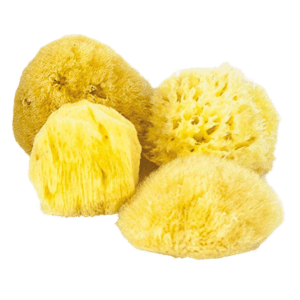 NATURAL SEA SPONGE 4 PACK