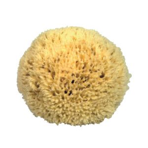 Natural Sponge Medium 12cm