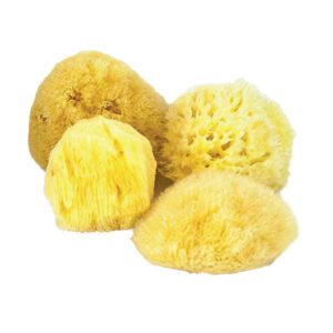 Natural Sea Sponge 4 Pack